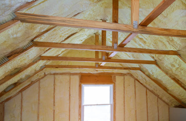 Best Geographic-Specific Insulation Services in Linden, AZ