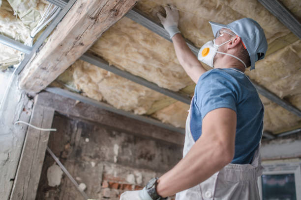 Best Blown-in Insulation in Linden, AZ