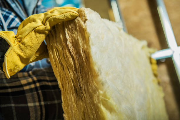 Best Spray Foam Insulation in Linden, AZ