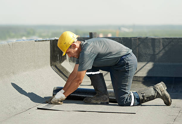 Best Cellulose Insulation in Linden, AZ